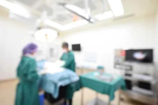 Dos veterinarios en quirófano —  Fotos de Stock