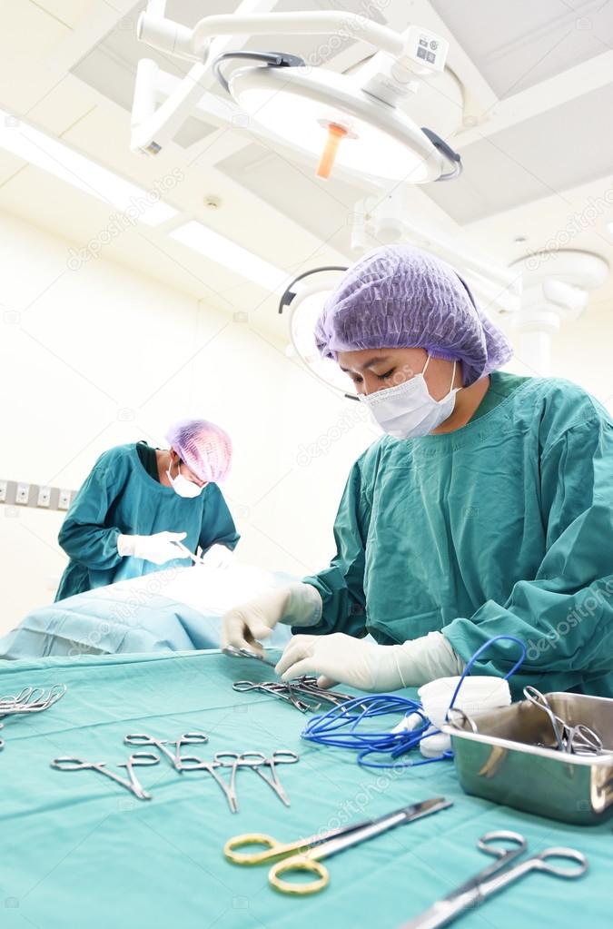 two veterinarian surgeons in operating room