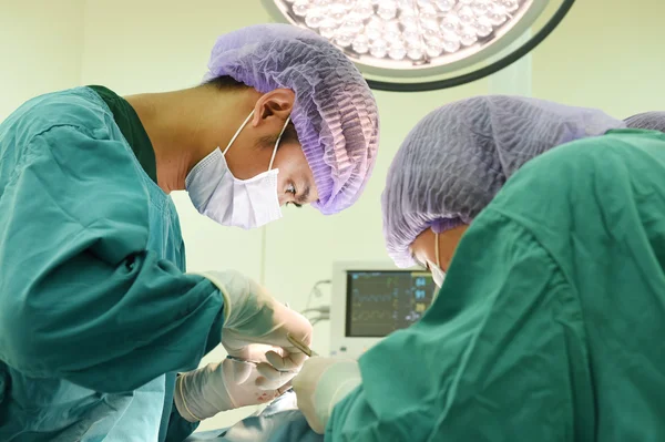 Dois cirurgiões veterinários na sala de operações — Fotografia de Stock