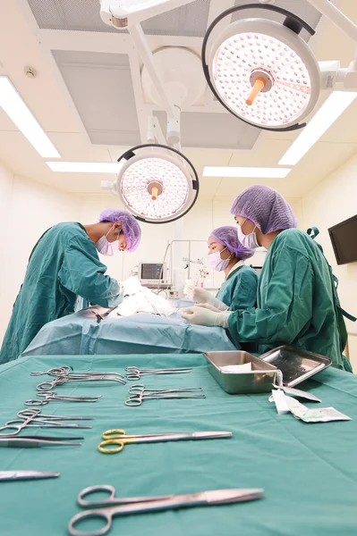 Grupo de cirurgia veterinária na sala de operação — Fotografia de Stock