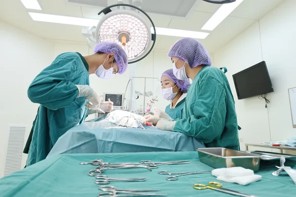 Grupo de cirurgia veterinária na sala de operação — Fotografia de Stock