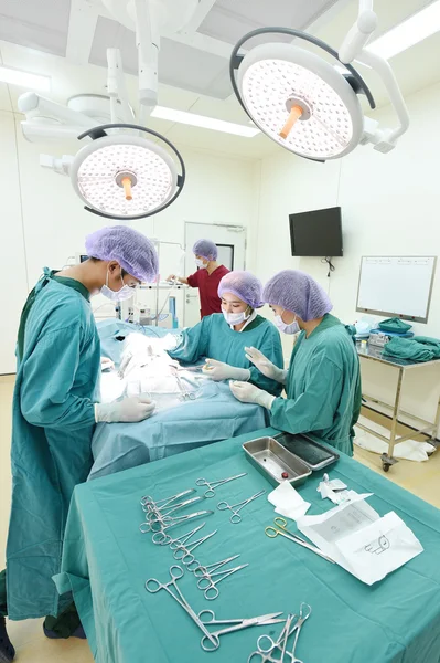 Groep van dierenarts chirurgie in operatie kamer — Stockfoto