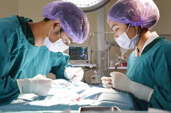 Dois cirurgiões veterinários na sala de operações — Fotografia de Stock