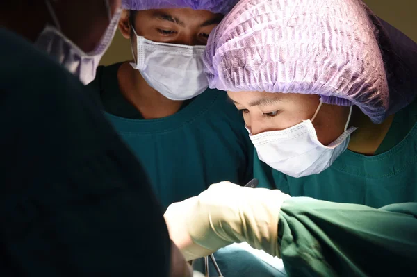 Grupo de cirurgia veterinária na sala de operação — Fotografia de Stock