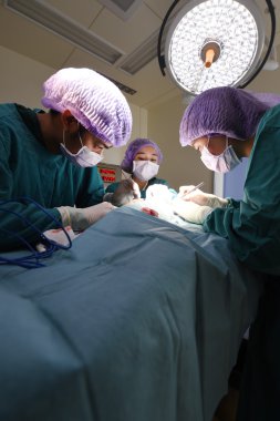 Veteriner Cerrahi operasyon odasında grup