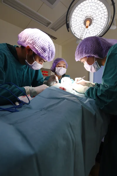 Groep van dierenarts chirurgie in operatie kamer — Stockfoto