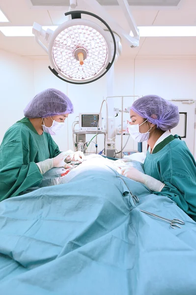 Dos veterinarios en quirófano — Foto de Stock