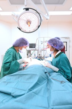 Ameliyathanede iki veteriner cerrah var.