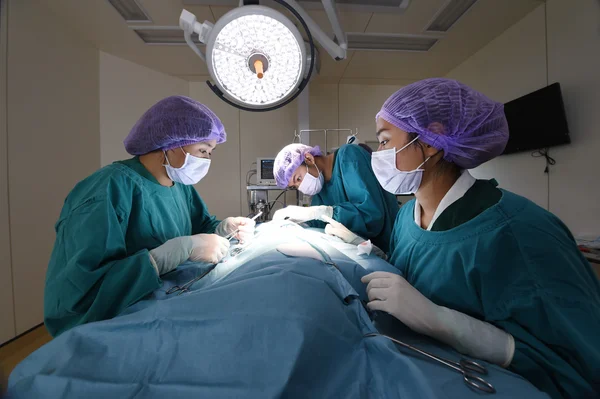 Groupe de chirurgie vétérinaire en salle d'opération — Photo