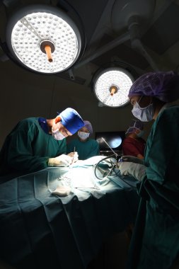 Veteriner Doktor için operasyon odasında grup Laparoskopik cerrahi