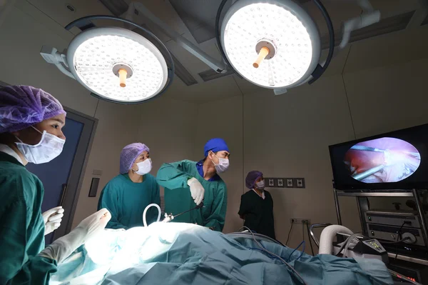 Grupo de médicos veterinarios en quirófano para cirugía laparoscópica — Foto de Stock
