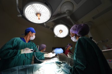 Veteriner Doktor için operasyon odasında grup Laparoskopik cerrahi