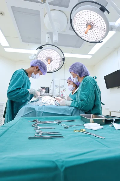 Groep van dierenarts chirurgie in operatie kamer — Stockfoto