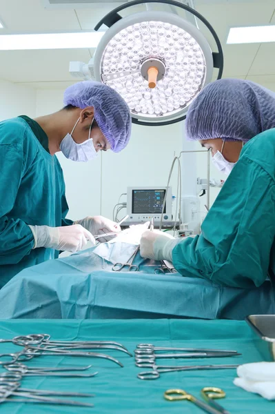 Dos veterinarios en quirófano —  Fotos de Stock