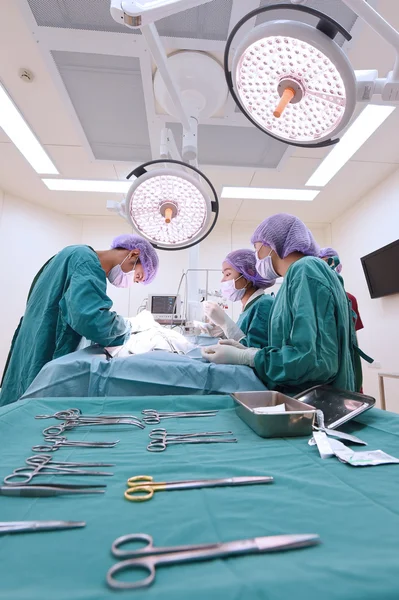 Groep van dierenarts chirurgie in operatie kamer — Stockfoto