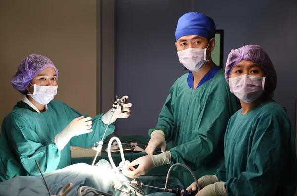 Grupo de cirurgia veterinária na sala de operação — Fotografia de Stock