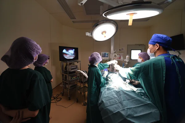 Groupe de médecin vétérinaire en salle d'opération pour chirurgie laparoscopique — Photo