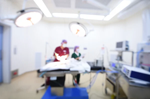 Two veterinarian surgeons in operating room — Stock Photo, Image