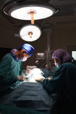 Veteriner Cerrahi operasyon odasında grup