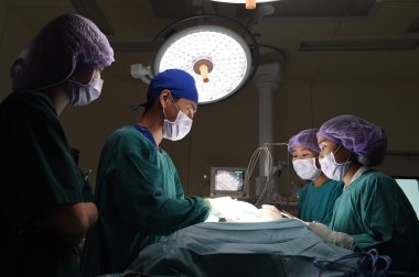Veteriner Cerrahi operasyon odasında grup