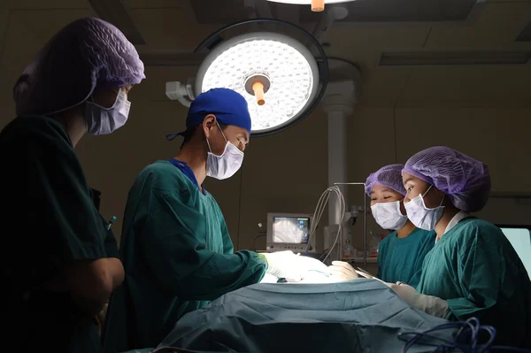 Grupo de cirurgia veterinária na sala de operação — Fotografia de Stock