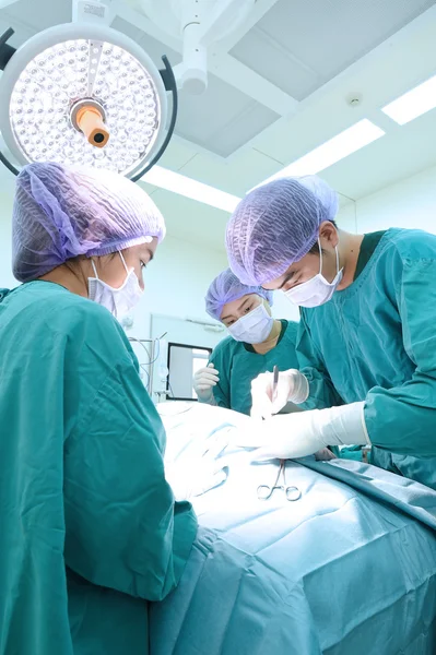 Groep van dierenarts chirurgie in operatie kamer Stockfoto