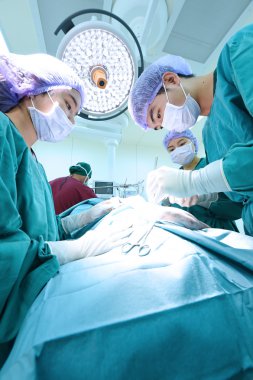 Veteriner Cerrahi operasyon odasında grup