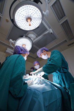 Veteriner Cerrahi operasyon odasında grup