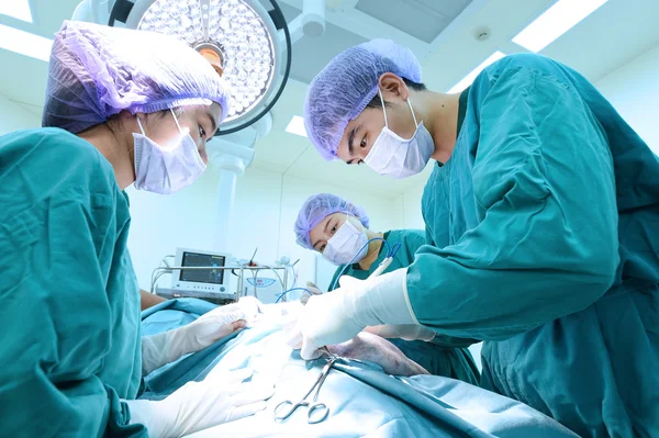 Groupe de chirurgie vétérinaire en salle d'opération Images De Stock Libres De Droits