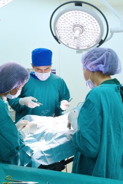 Veteriner Cerrahi operasyon odasında grup