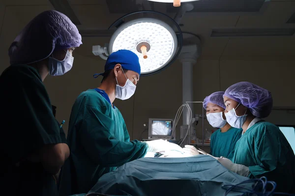 Groupe de chirurgie vétérinaire en salle d'opération — Photo