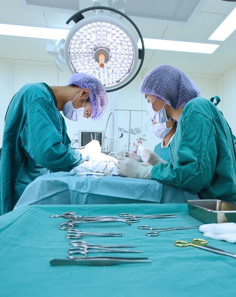 Grupo de cirurgia veterinária na sala de operação — Fotografia de Stock