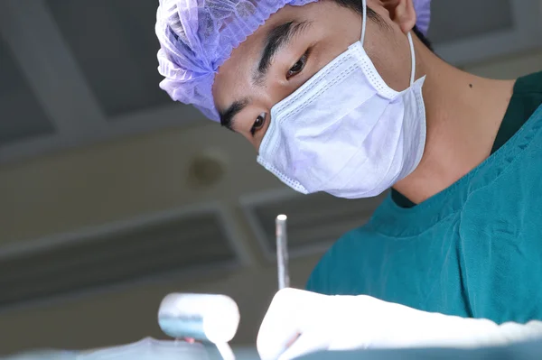 Chirurgie veterinară în sala de operații — Fotografie, imagine de stoc
