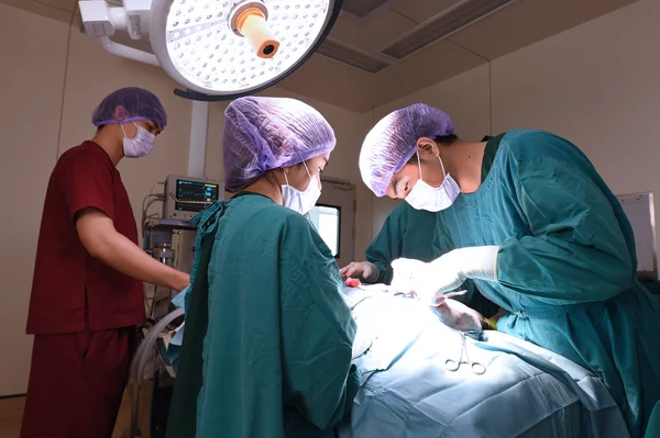 Groep van dierenarts chirurgie in operatie kamer — Stockfoto