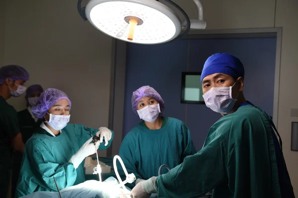 Grupo de cirurgia veterinária na sala de operação — Fotografia de Stock