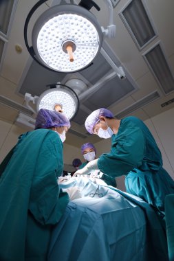 Veteriner Cerrahi operasyon odasında grup
