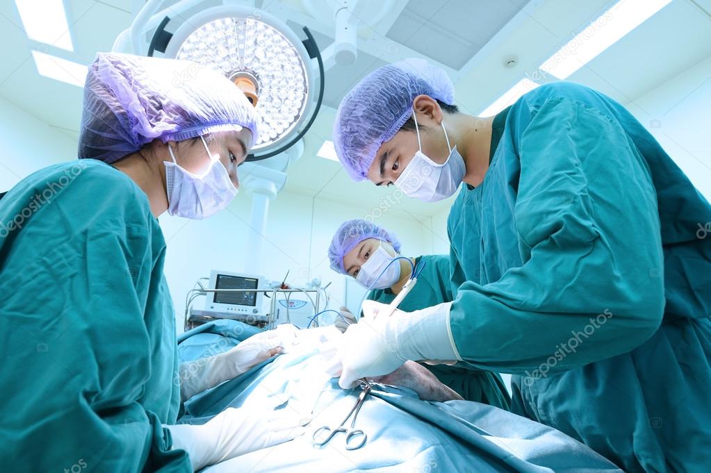 group of veterinarian surgery in operation room