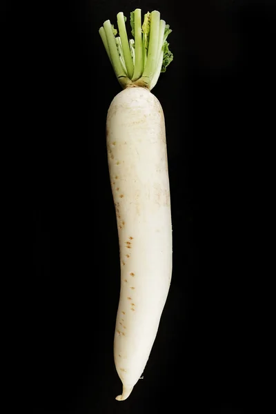 Long white Radish — Stock Photo, Image