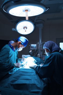 Veteriner Cerrahi operasyon odasında grup