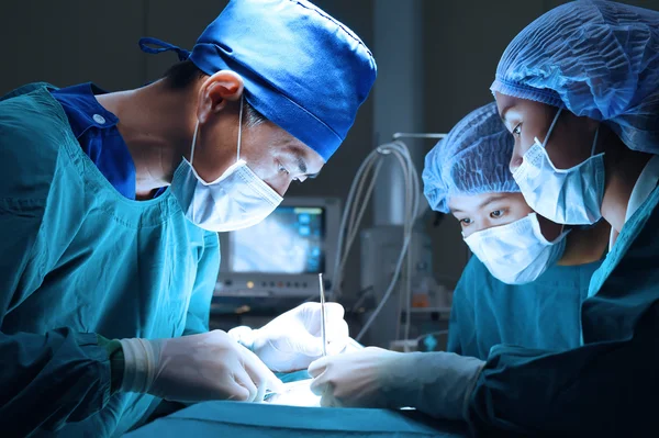 Groep van dierenarts chirurgie in operatie kamer — Stockfoto