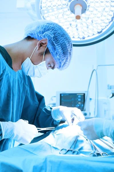 Veterinarian surgery in operation room — Stock Photo, Image