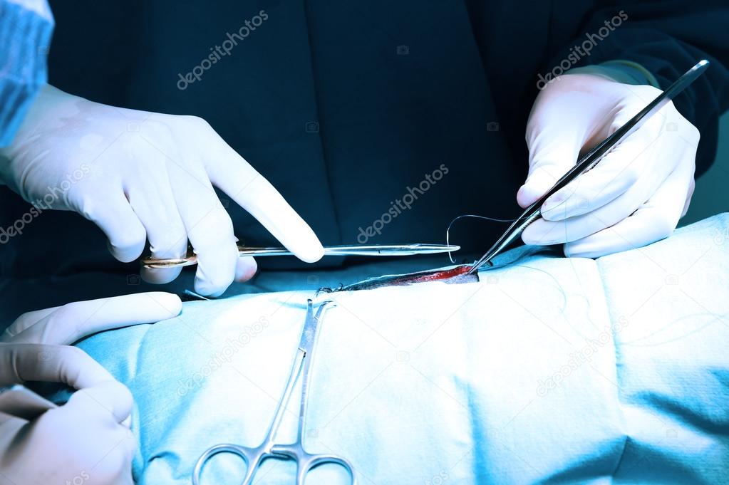 veterinarian doctor in operation room for surgical