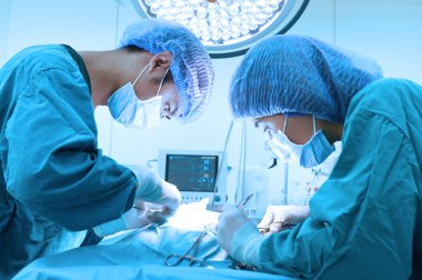 Ameliyathanede iki veteriner cerrah var.