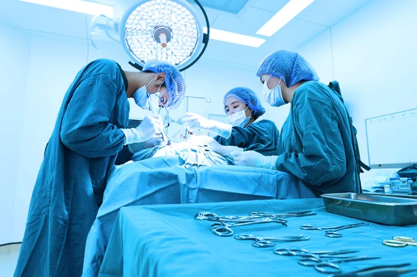 Groupe de chirurgie vétérinaire en salle d'opération — Photo