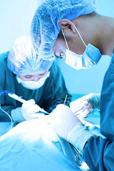 Dois cirurgiões veterinários na sala de operações — Fotografia de Stock