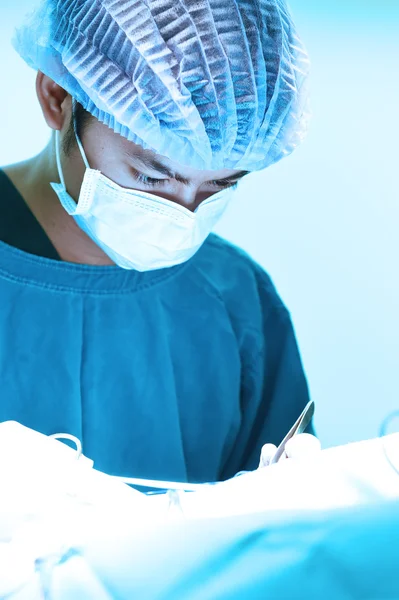 Veterinarian surgery in operation room — Stock Photo, Image