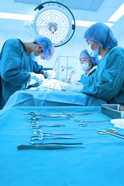 Groep van dierenarts chirurgie in operatie kamer Stockfoto