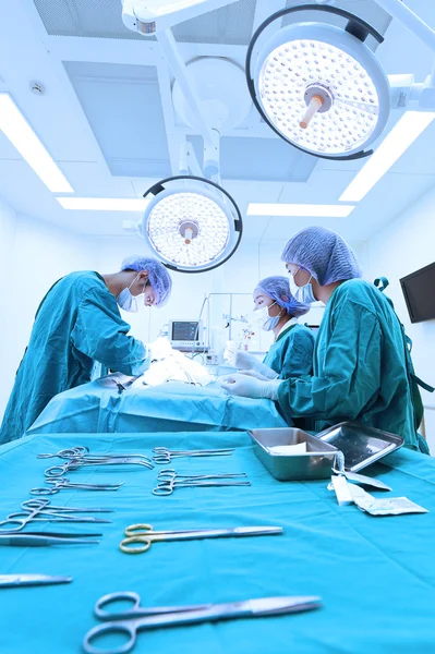 Grupo de cirugía veterinaria en quirófano — Foto de Stock