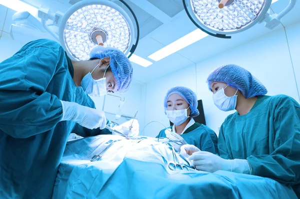 Group of veterinarian surgery in operation room — Stock Photo, Image