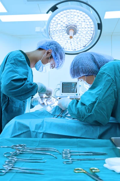 Two veterinarian surgeons in operating room — Stock Photo, Image